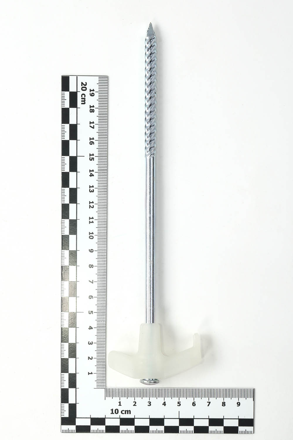 Leuchtheringen, Länge von 23 cm Leuchtheringen, Länge von 23 cm